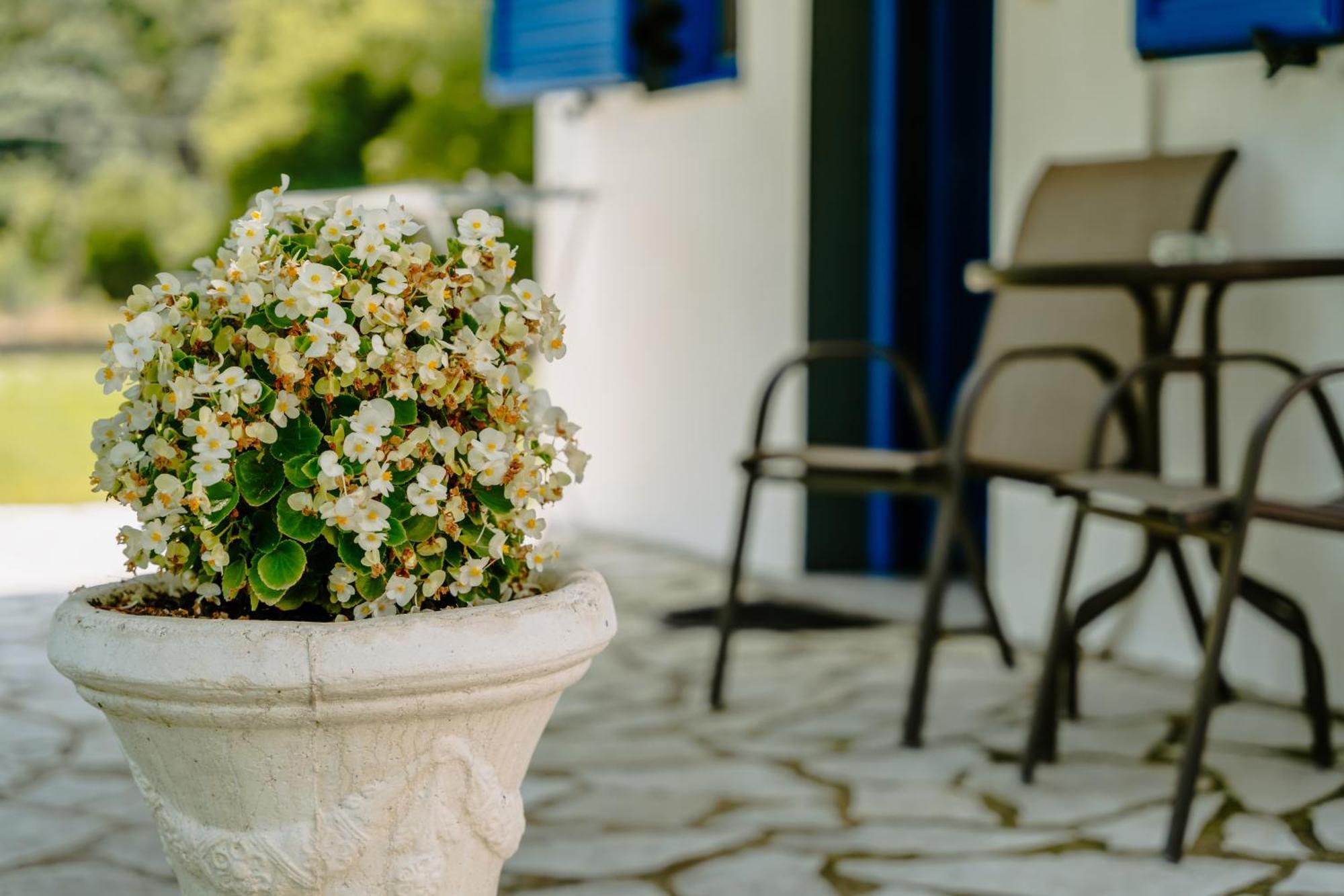 Villa Marina Πέρδικα Εξωτερικό φωτογραφία
